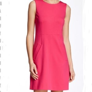 NWT Diane Von Furstenberg Carpreena Dress Pink